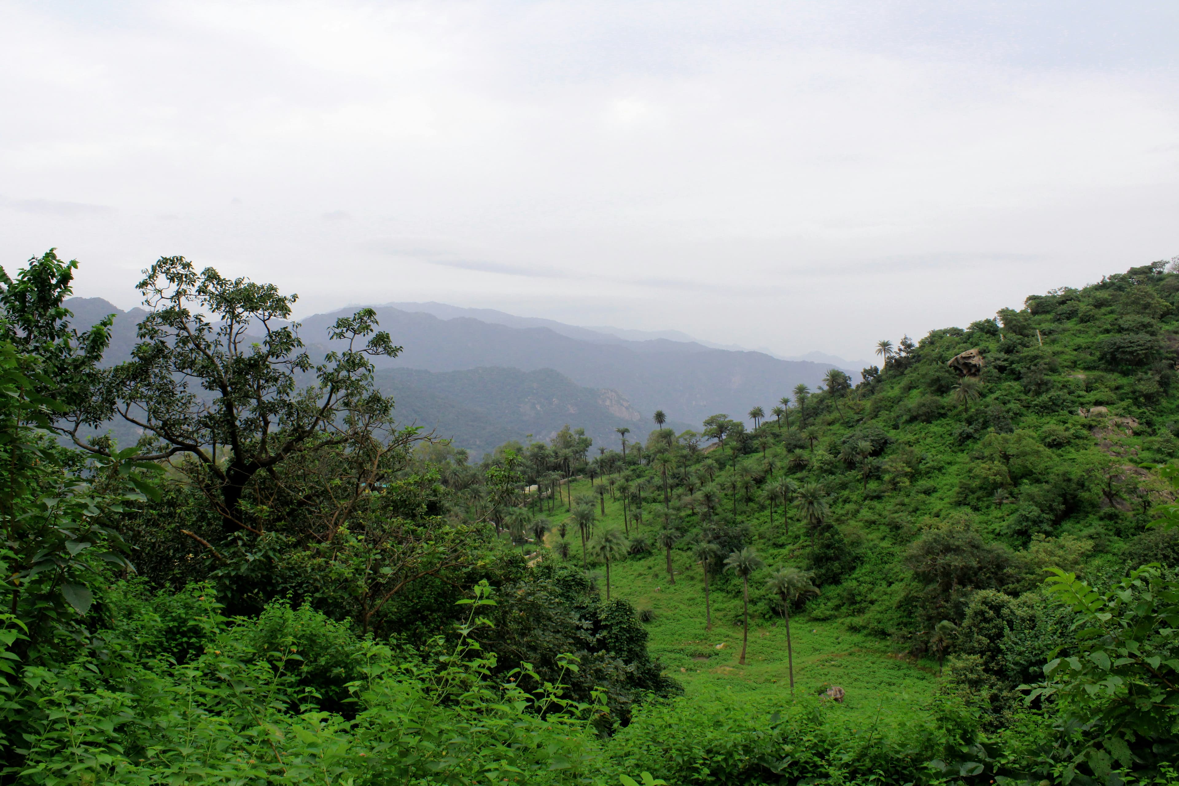 Deccan Plateau
