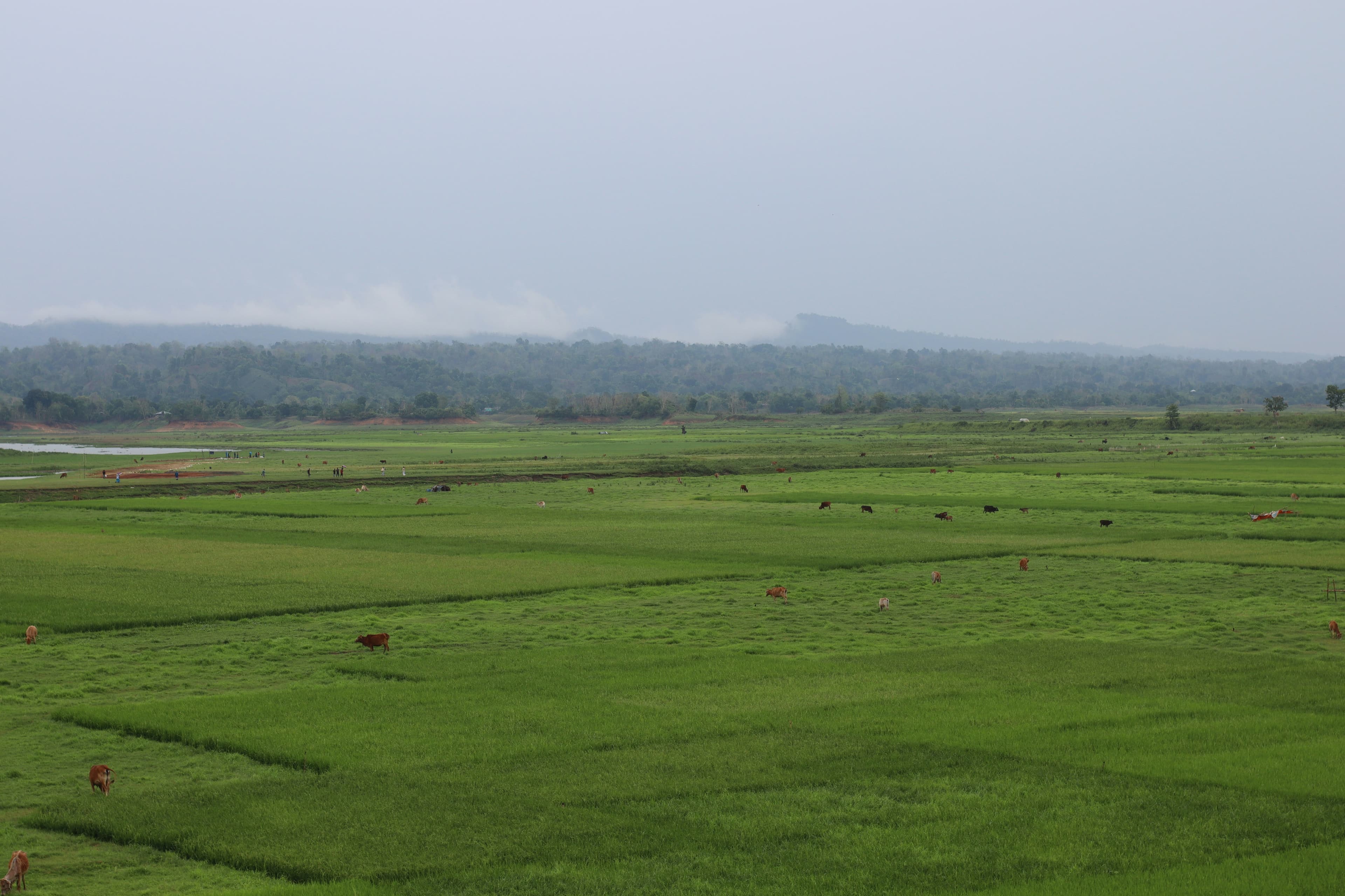 Indo-Gangetic Plain